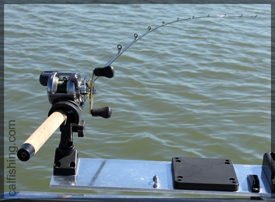 Rod-in-Rod-Holder.jpg
